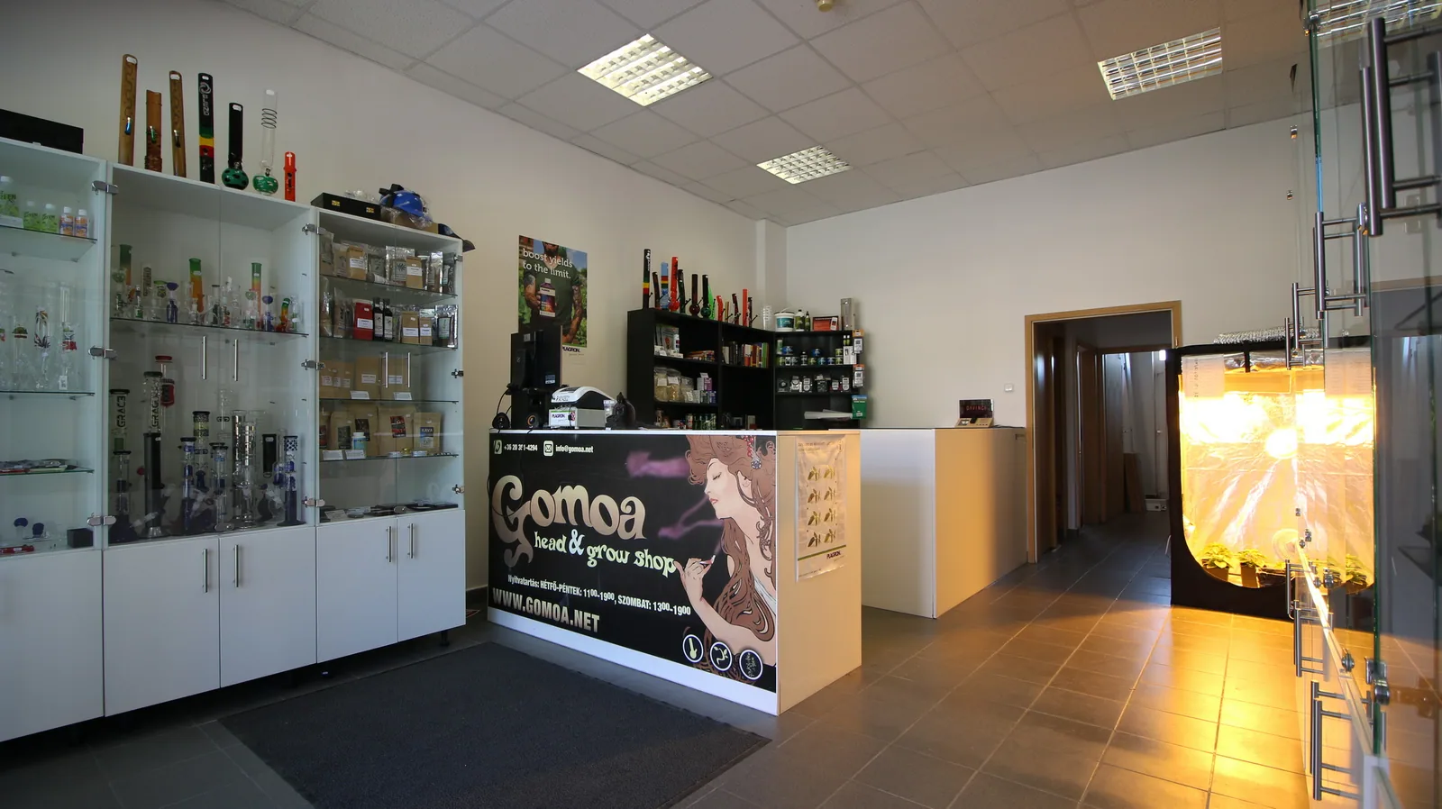 Gomoa Head & Grow Shop Pécs (Grow Shop Pécs) – üzlet belülről