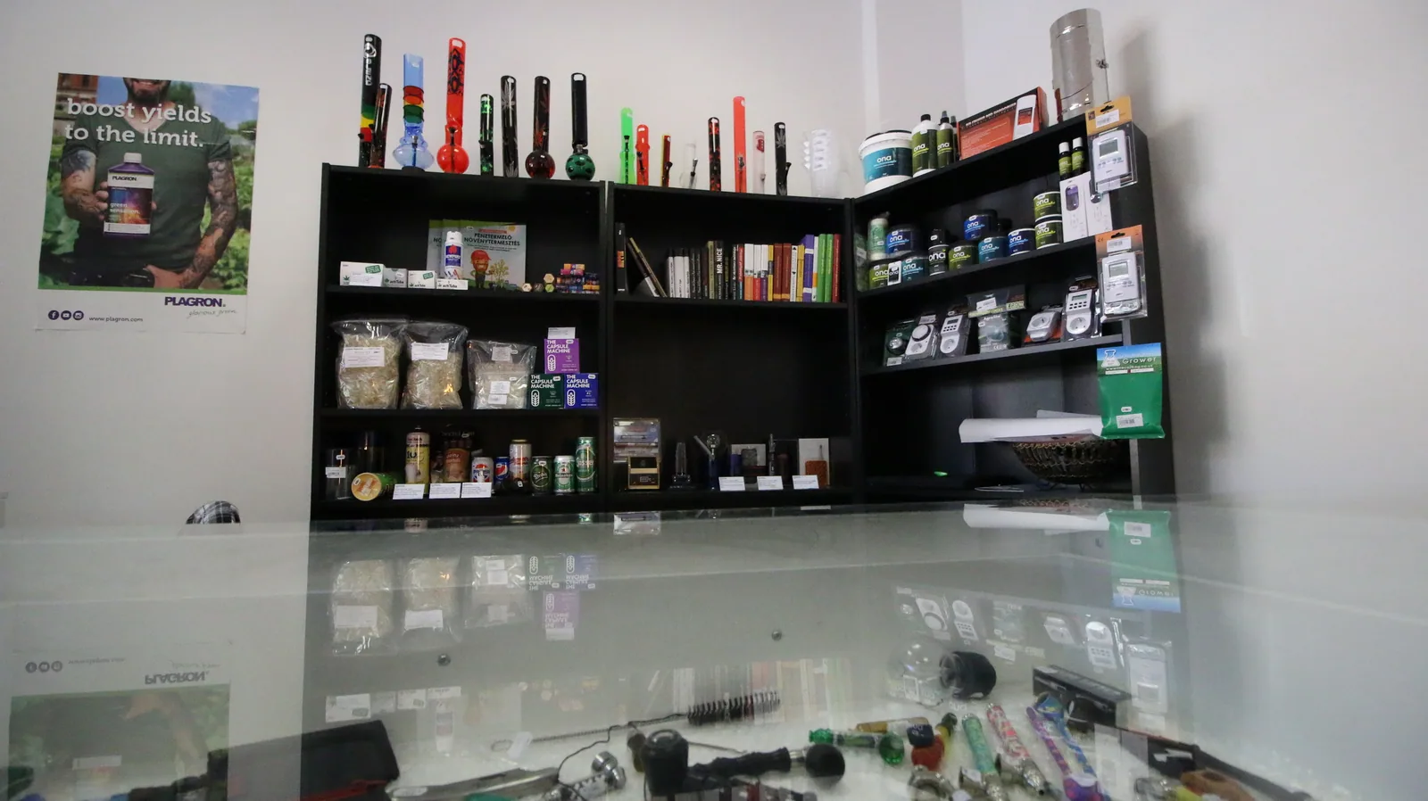 Gomoa Head & Grow Shop Pécs (Grow Shop Pécs) – üzlet belülről