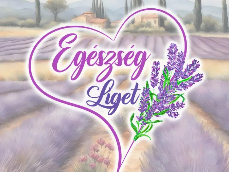 Egészség Liget – üzleti arculat