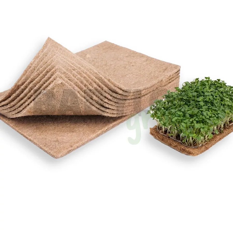 Babylon Growshop Budapest – termékkép