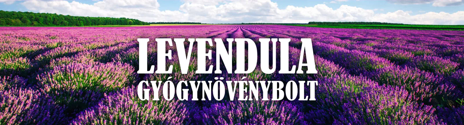 Herbária Levendula Gyógynövénybolt – üzleti arculat