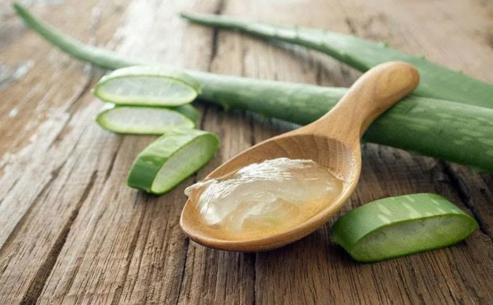 Aloe Vera Gyógynövénybolt Reform-patika – üzleti arculat
